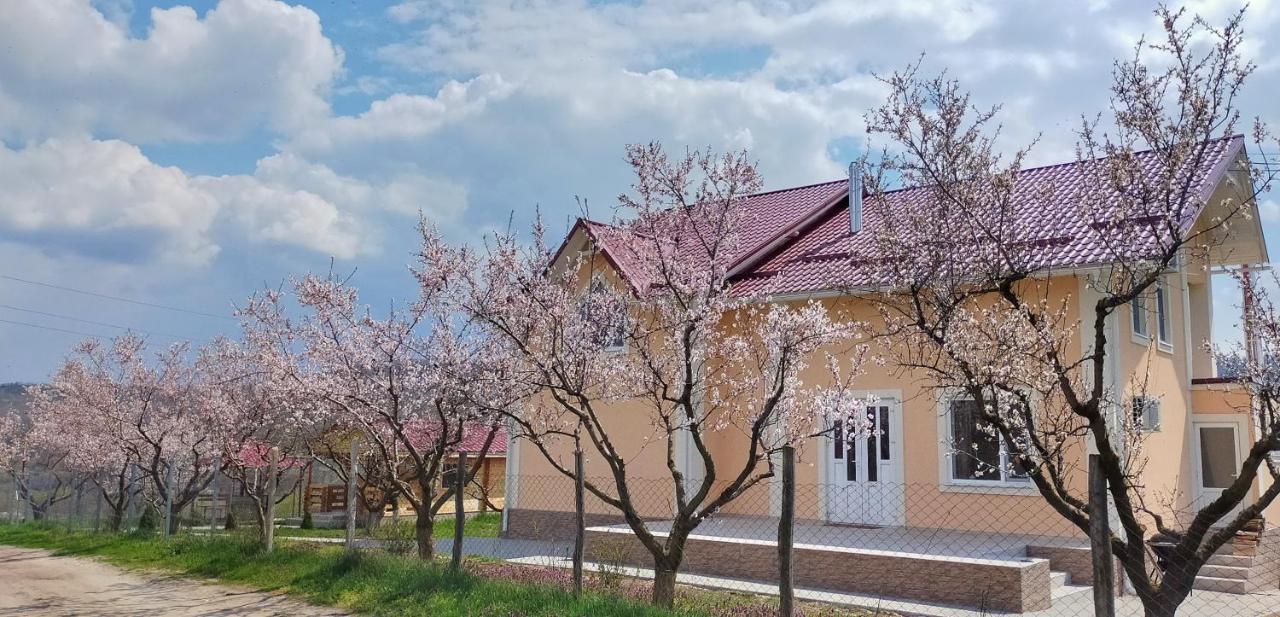 Conacul Mierii Villa Straseni Dış mekan fotoğraf