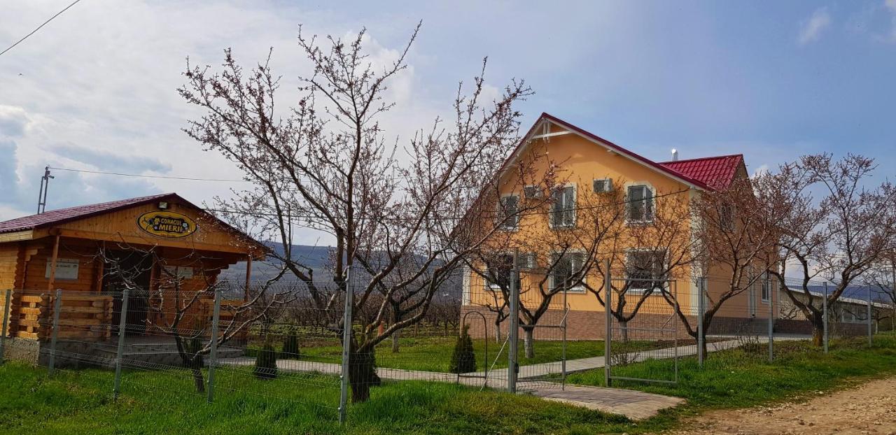 Conacul Mierii Villa Straseni Dış mekan fotoğraf