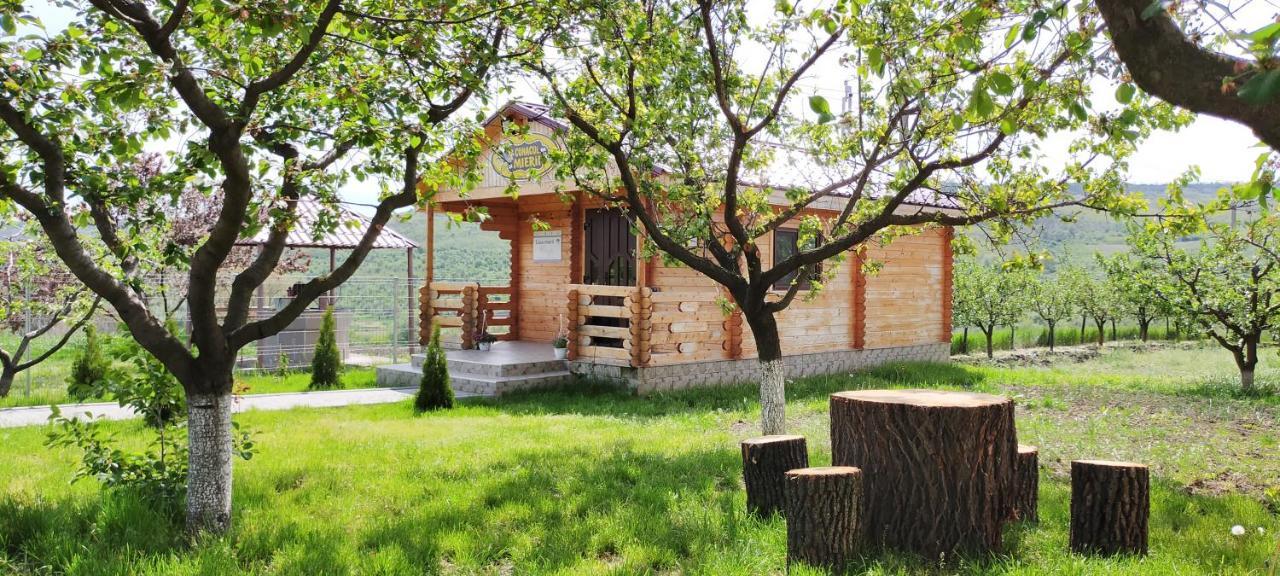 Conacul Mierii Villa Straseni Dış mekan fotoğraf