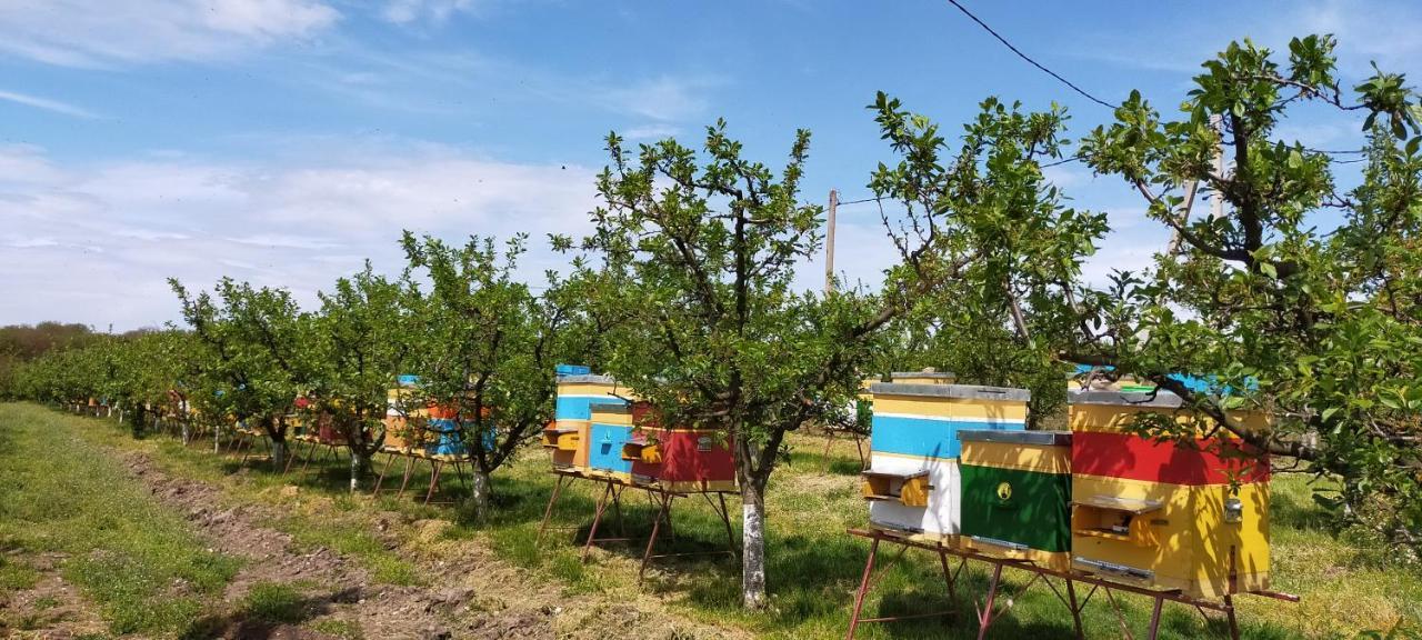 Conacul Mierii Villa Straseni Dış mekan fotoğraf